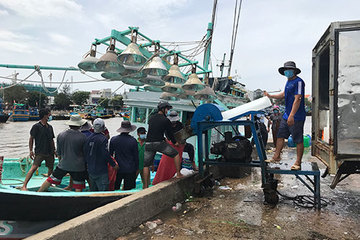 Bình Thuận: La Gi cho phép tàu cá 15m được vươn khơi trở lại
