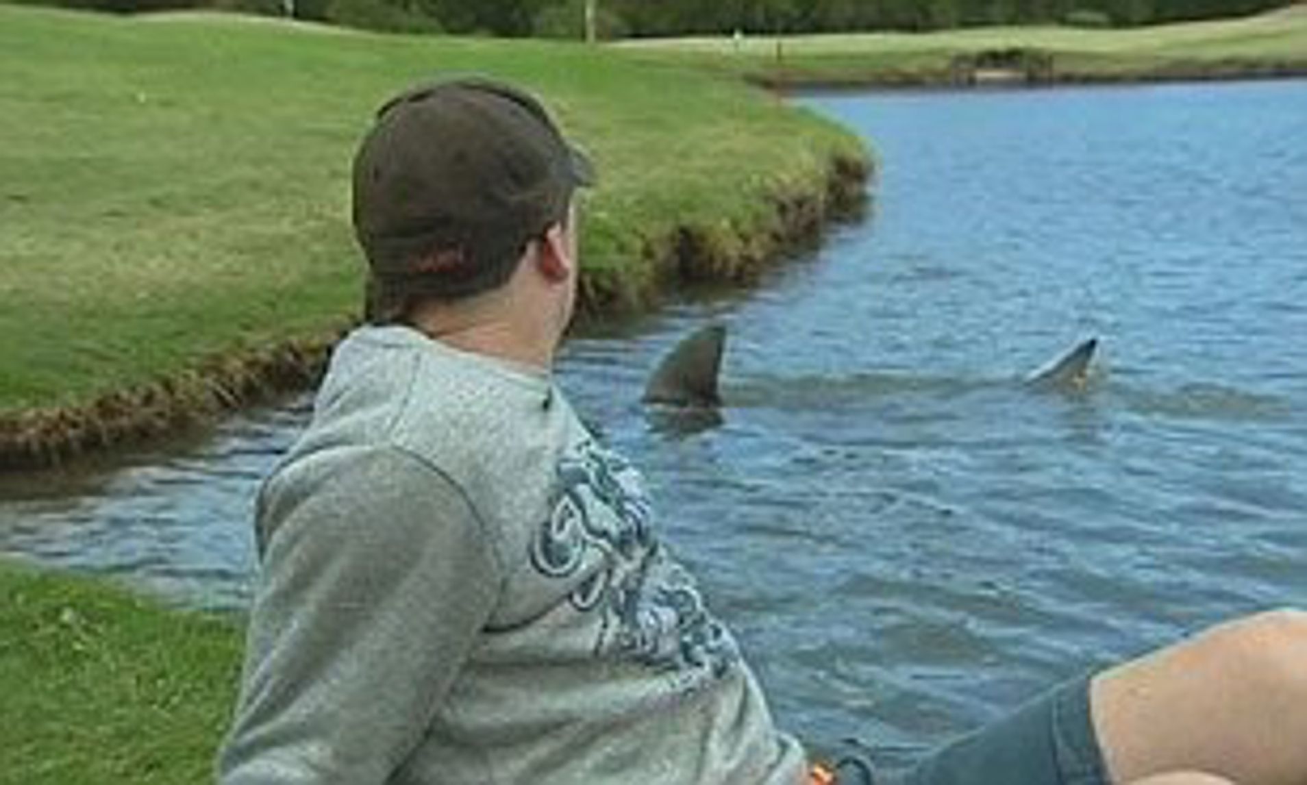 Sân golf duy nhất trên thế giới nằm gần nơi sinh sống của đàn cá mập bò hung hãn