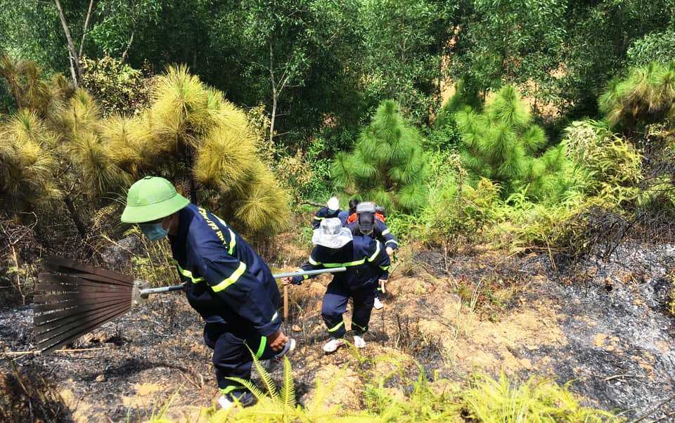 Cháy rừng,Cảnh sát PCCC,xã Nghi Yên,Nghi Lộc,rừng phòng hộ,Nghệ An