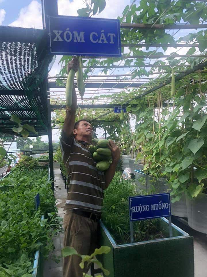 khu vườn trên sân thượng,cách làm vườn,Sài Gòn