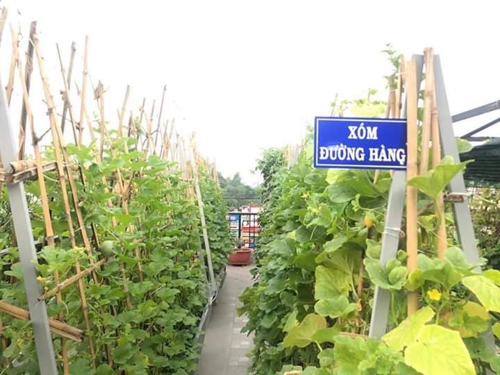 khu vườn trên sân thượng,cách làm vườn,Sài Gòn