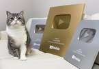 Chú mèo Nhật Bản lập kỷ lục 'đạt nút vàng' Youtube