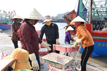 Ngư dân Nghệ An khắc phục cảnh báo "thẻ vàng"