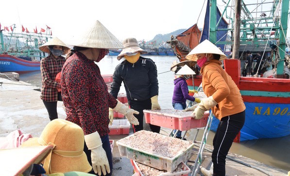 Ngư dân Nghệ An khắc phục cảnh báo 'thẻ vàng'