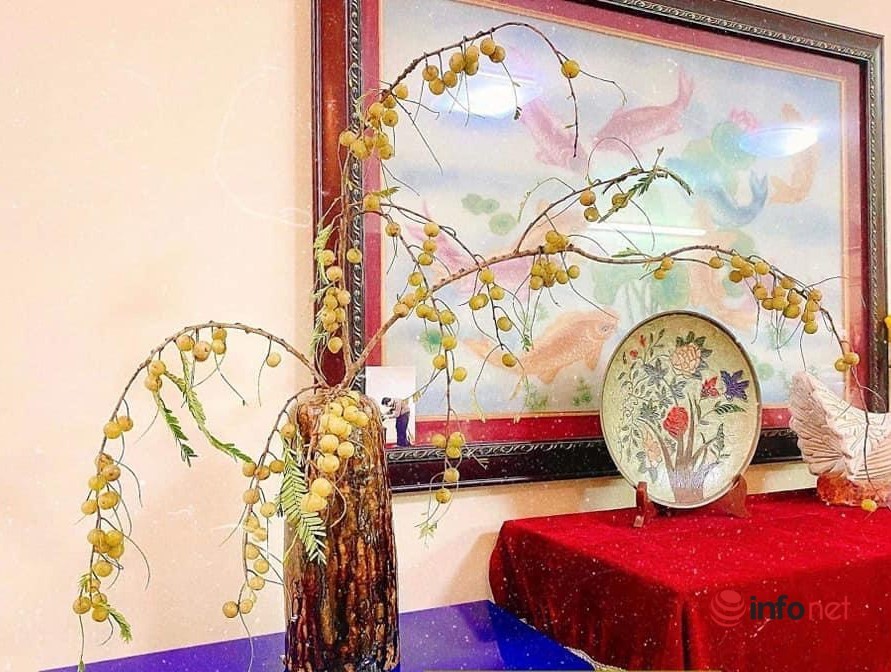 Tiệm hoa Hà Nội có loại quả rừng hoang dại cực lạ mắt phục vụ chị em cắm chơi trong nhà