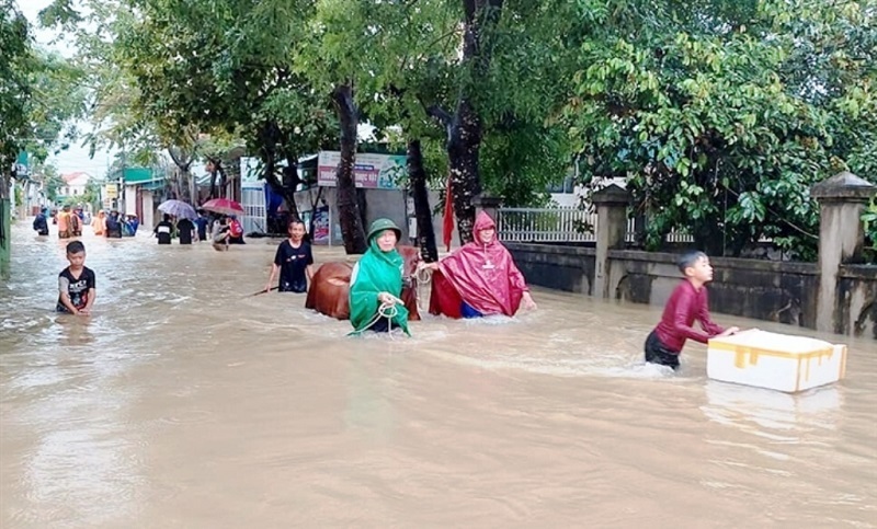 Mưa lớn,ngập nước,xã Quỳnh Lâm,sơ tán,sẵn sàng ứng cứu,Quỳnh Lưu,Nghệ An