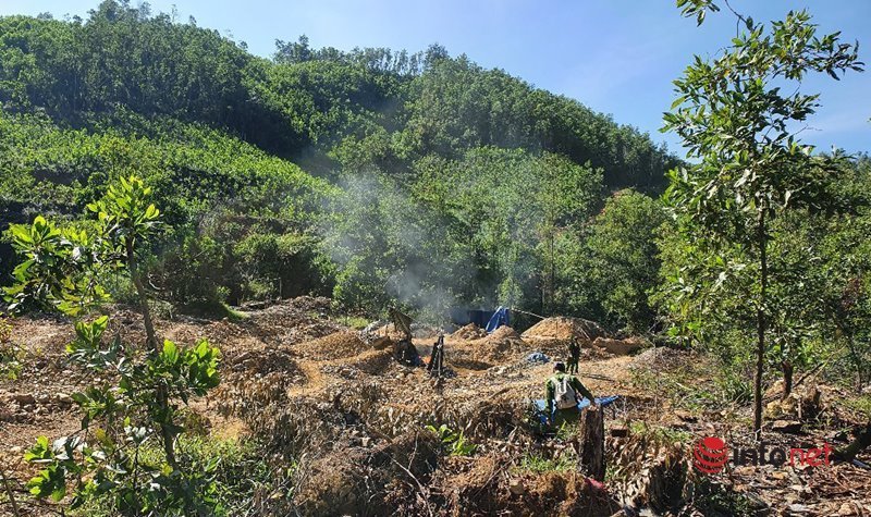Truy quét 'vàng tặc' tại mỏ vàng lớn nhất Quảng Nam