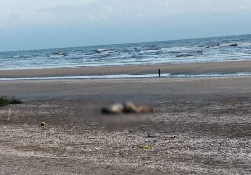 Phát hiện thi thể người trôi dạt vào bờ biển, nghi đã tử vong nhiều ngày