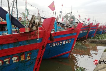 Nghệ An: Cấm biển từ 0h ngày 10/10, hơn 3.200 tàu thuyền đã về nơi tránh trú