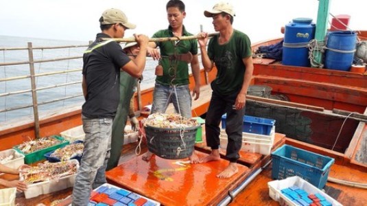 Quảng Bình thúc đẩy xuất khẩu nông lâm thủy sản