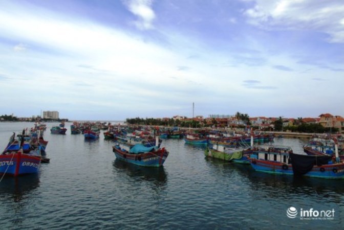 Quảng Bình có hơn 1.000 tàu cá dài từ 15m trở lên đã lắp đặt thiết bị giám sát hành trình