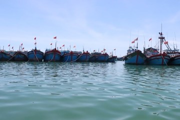 Quảng Ngãi có 2.754 tàu cá lắp đặt thiết bị giám sát hành trình