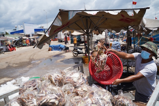 Phan Thiết tạm dừng hoạt động khai thác hải sản vì dịch bệnh phức tạp