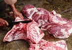 Xót lợn nuôi bán lỗ thảm, đi chợ phải mua thịt giá cao, chủ nuôi tự tay mổ lợn bán