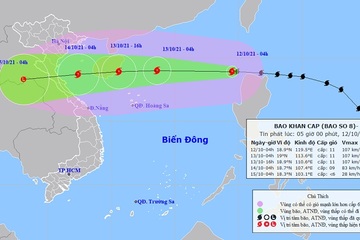 Bão số 8 gió giật cấp 13 di chuyển rất nhanh, Thanh Hóa - Quảng Bình mưa rất to từ chiều mai