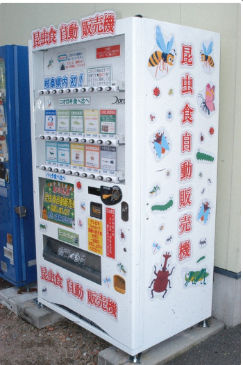 Món snack côn trùng kỳ lạ bên trong máy bán hàng tự động ở Nhật Bản