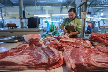 Khủng hoảng thừa thịt lợn: Cần quy định giá bán lợn hơi