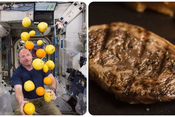 Ý tưởng độc đáo chiến thắng cuộc thi về thức ăn trong không gian của NASA