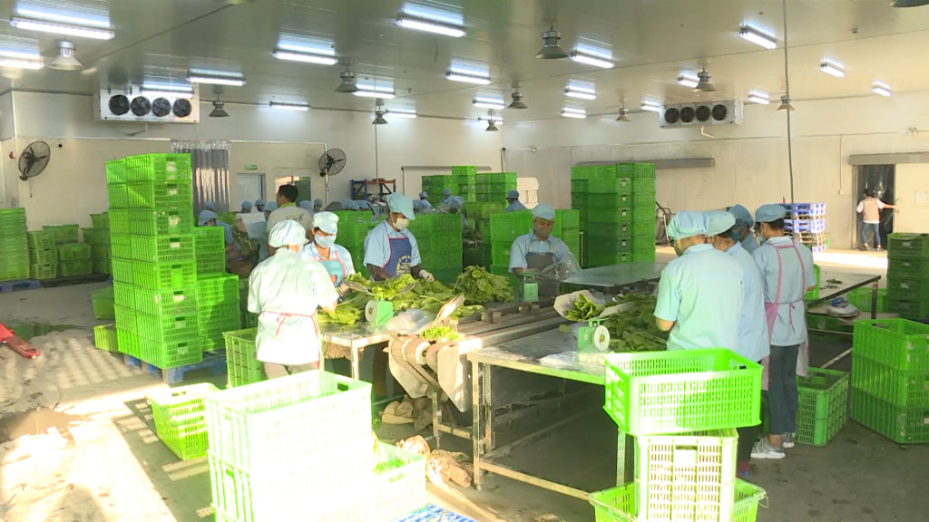 Quảng Ninh: Đảm bảo vệ sinh an toàn thực phẩm các mặt hàng nông, lâm, thuỷ sản