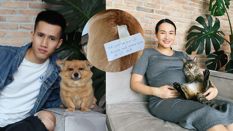 Giang ơi,Anh bạn thân,youtuber Trị Nguyễn,xin lỗi vợ,cún cưng,chồng tâm lý