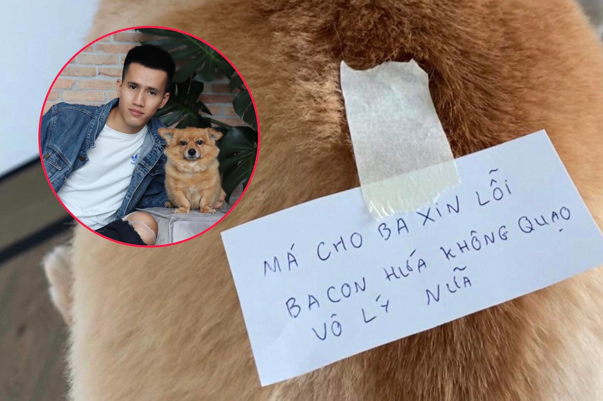 Người chồng trẻ 'xuất chiêu' xin lỗi vợ bầu khiến dân mạng thán phục!