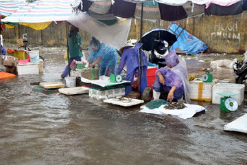 Các biện pháp cần làm đảm bảo an toàn thực phẩm trong mùa mưa bão