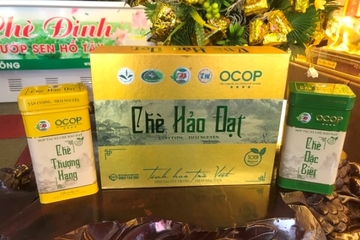 Thái Nguyên đánh giá, xếp hạng 85 sản phẩm OCOP cấp tỉnh năm 2021