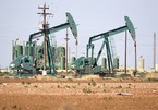OPEC+ sẽ cứu Mỹ khỏi ‘khủng hoảng’ nhiên liệu?