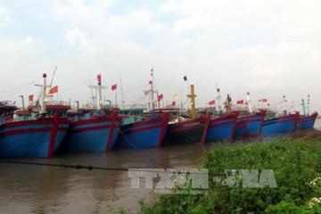 Nam Định: 100% chủ tàu cá ở Hải Hậu được tuyên truyền về chống khai thác thủy sản bất hợp pháp
