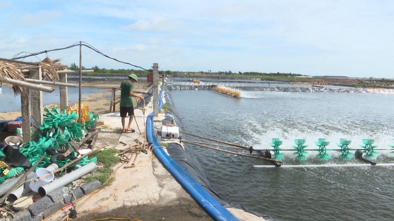 Thái Bình: Tổng sản lượng thủy sản tháng 10 ước đạt 24,5 nghìn tấn