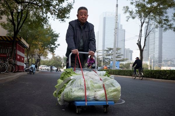 Bắp cải ‘cháy hàng’, giá tăng gấp 3 lần vẫn đắt khách ở Trung Quốc