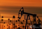 Nga đang đặt cược vào khí đốt và dầu mỏ?