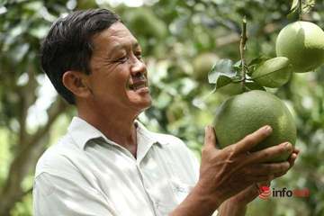 Đưa 'đặc sản lạ' của Việt Nam sang trời Tây, lợi thế lớn của hàng trăm nông dân tham gia HTX
