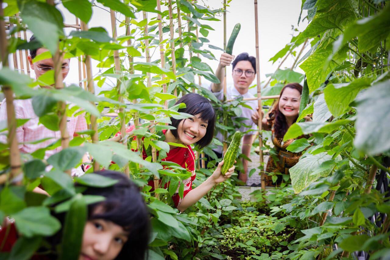 Ngắm khu vườn sân thượng 80m2 của vợ chồng giáo viên tại Hà Nội