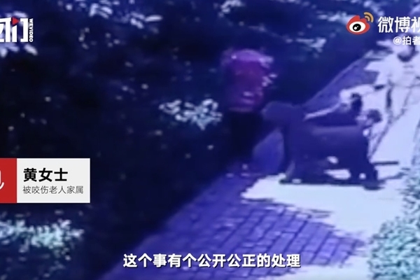 Quan chức Trung Quốc mất ghế vì để thú cưng cắn người già