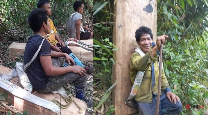 Vấn nạn cõng, gùi gỗ lậu thuê hoành hành ở rừng Pơ mu lớn nhất Đắk Lắk