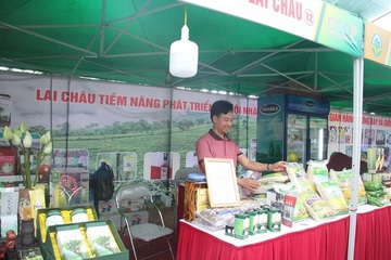 Lai Châu thúc đẩy phát triển kinh tế số nông nghiệp