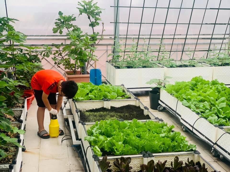 Ngưỡng mộ 'trang trại nhỏ' trên sân thượng của nữ doanh nhân Đồng Nai