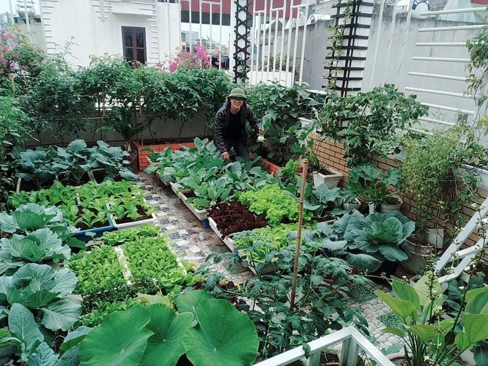 Anh 'nông dân sân thượng' Hà Nội tạo dựng khu vườn tuyệt vời truyền tình yêu thiên nhiên cho con trẻ