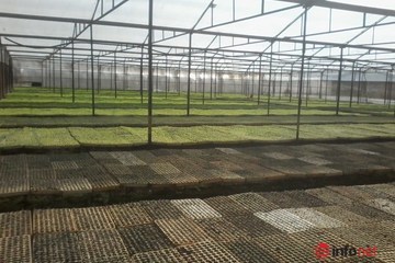 Lâm Đồng: Nhiều HTX sản xuất nông nghiệp công nghệ cao đổi mới phương thức hoạt đông, sản xuất gắn với chuỗi giá trị