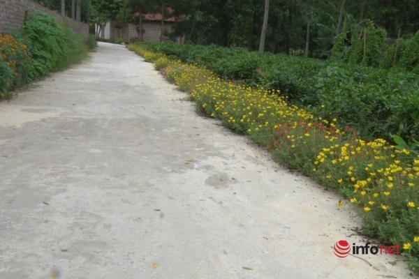 Hà Nội: Huyện Ba Vì đạt nhiều kết quả tích cực trong xây dựng nông thôn mới