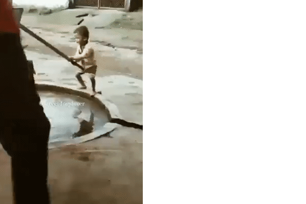Video em bé dùng máy bơm bằng tay lấy nước cho chú chó đang khát