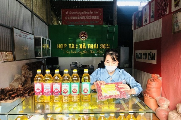 Giữ vững liên kết để đảm bảo chuỗi cung ứng hàng Việt