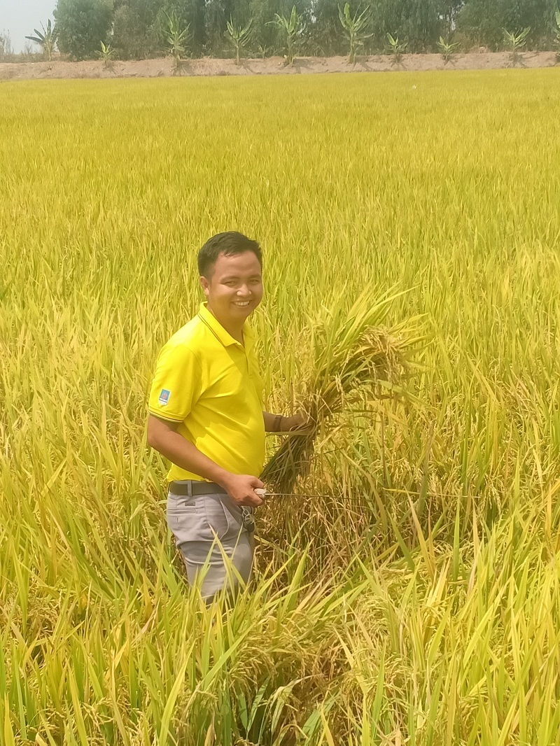 Phân bón Cà Mau,NPK một hạt,nông sản Việt