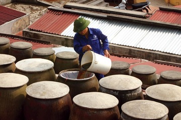 Phát triển ngành nước mắm bền vững, đưa nước mắm Việt vươn ra thế giới