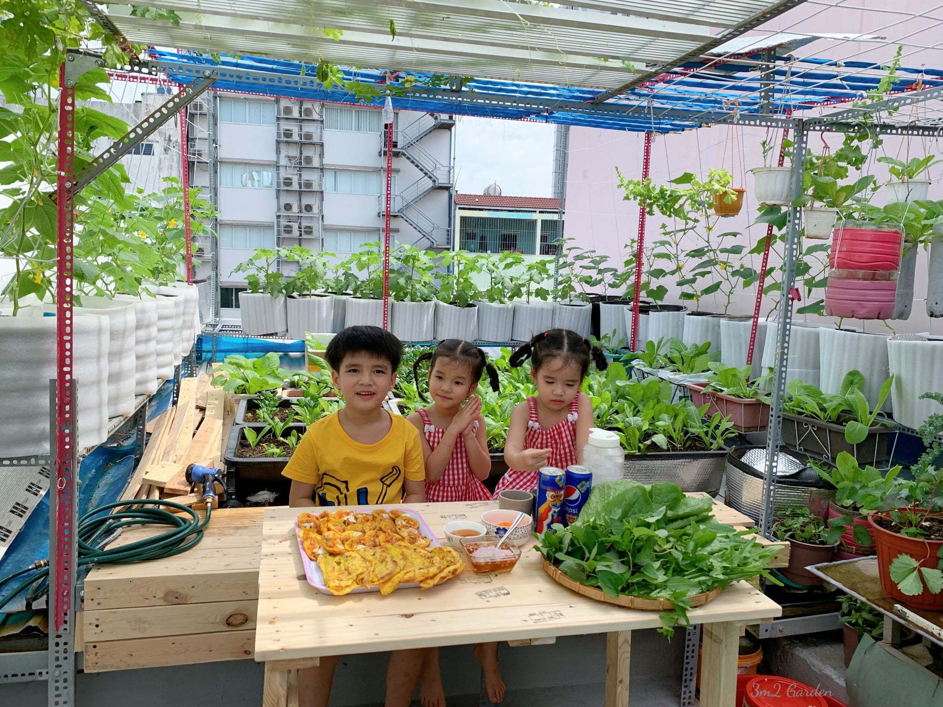 Mẹ đảm Sài Gòn biến vườn sân thượng thành 'trường học' kỹ năng sống cho con