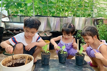 Mẹ đảm Sài Gòn biến vườn sân thượng thành 'trường học' kỹ năng sống cho con