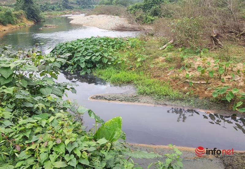 Hà Tĩnh: Trại lợn hỏng bể xử lý chất thải làm ô nhiễm nguồn nước bị phạt 15 triệu đồng, đình chỉ sản xuất