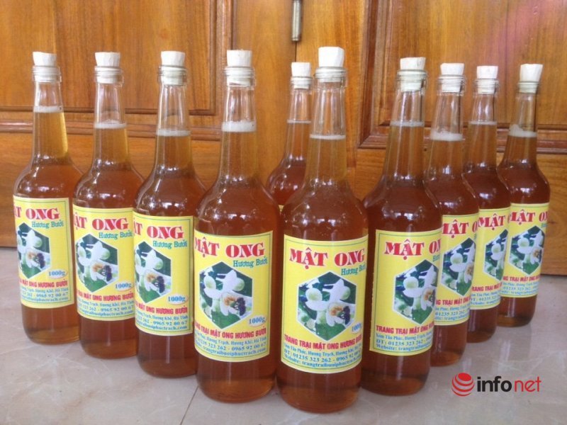 Hà Tĩnh: Đưa sản phẩm mật ong Hương Bưởi thành đặc sản chủ lực của địa phương