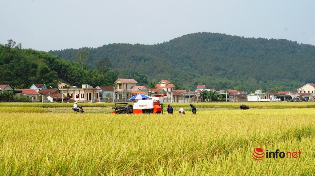 Thay đổi diện mạo nông thôn ở Nghệ An
